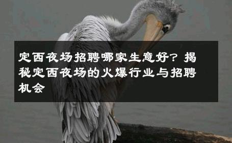 定西夜场招聘哪家生意好？揭秘定西夜场的火爆行业与招聘机会