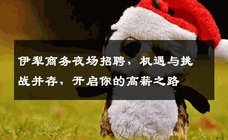 伊犁商务夜场招聘，机遇与挑战并存，开启你的高薪之路