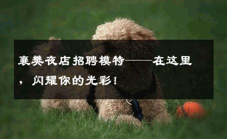 襄樊夜店招聘模特——在这里，闪耀你的光彩！