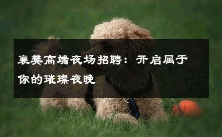 襄樊高端夜场招聘：开启属于你的璀璨夜晚