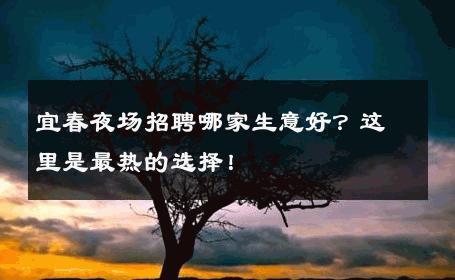 宜春夜场招聘哪家生意好？这里是最热的选择！