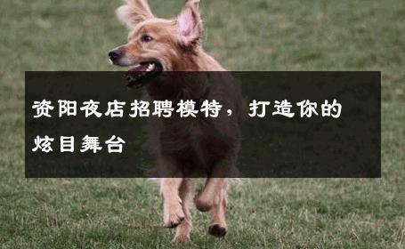 资阳夜店招聘模特，打造你的炫目舞台