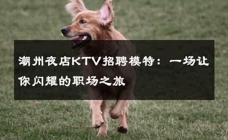 潮州夜店KTV招聘模特：一场让你闪耀的职场之旅