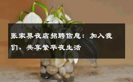 张家界夜店招聘信息：加入我们，共享繁华夜生活