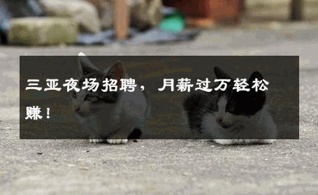 三亚夜场招聘，月薪过万轻松赚！