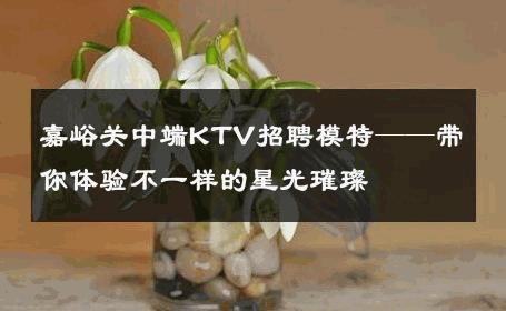 嘉峪关中端KTV招聘模特——带你体验不一样的星光璀璨