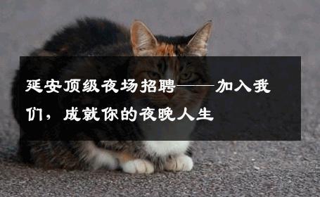延安顶级夜场招聘——加入我们，成就你的夜晚人生
