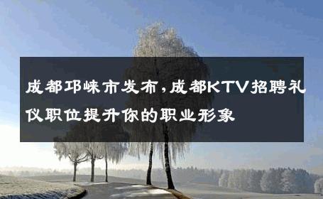 成都邛崃市发布,成都KTV招聘礼仪职位提升你的职业形象