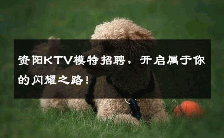 资阳KTV模特招聘，开启属于你的闪耀之路！