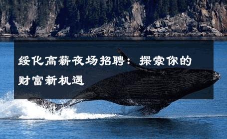 绥化高薪夜场招聘：探索你的财富新机遇