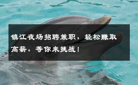 镇江夜场招聘兼职，轻松赚取高薪，等你来挑战！