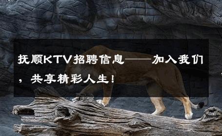 抚顺KTV招聘信息——加入我们，共享精彩人生！
