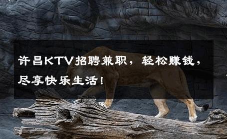 许昌KTV招聘兼职，轻松赚钱，尽享快乐生活！