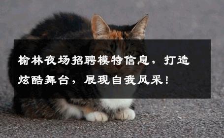 榆林夜场招聘模特信息，打造炫酷舞台，展现自我风采！