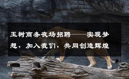 玉树商务夜场招聘——实现梦想，加入我们，共同创造辉煌