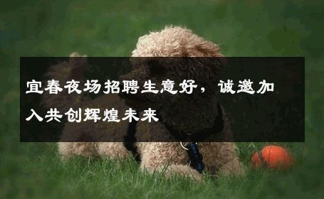 宜春夜场招聘生意好，诚邀加入共创辉煌未来