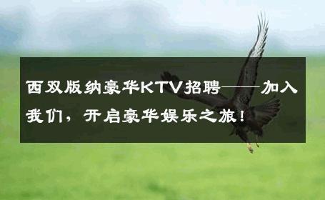 西双版纳豪华KTV招聘——加入我们，开启豪华娱乐之旅！