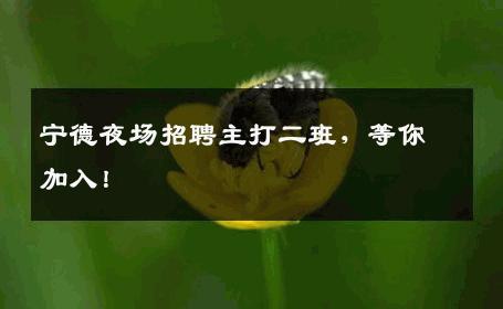 宁德夜场招聘主打二班，等你加入！