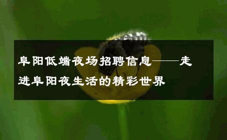 阜阳低端夜场招聘信息——走进阜阳夜生活的精彩世界