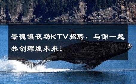 景德镇夜场KTV招聘，与你一起共创辉煌未来！