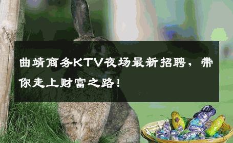 曲靖商务KTV夜场最新招聘，带你走上财富之路！