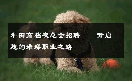 和田高档夜总会招聘——开启您的璀璨职业之路