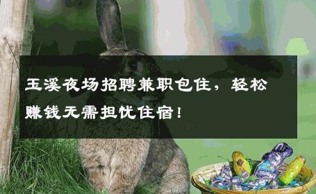 玉溪夜场招聘兼职包住，轻松赚钱无需担忧住宿！