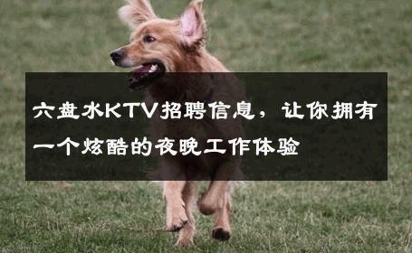 六盘水KTV招聘信息，让你拥有一个炫酷的夜晚工作体验