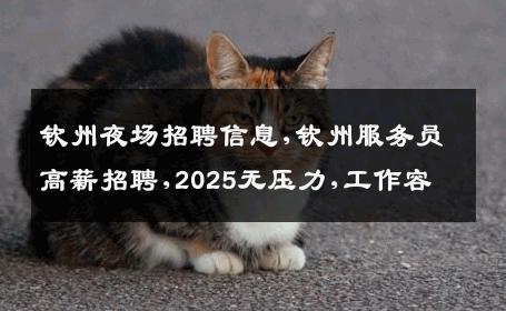 钦州夜场招聘信息,钦州服务员高薪招聘,2025无压力,工作容