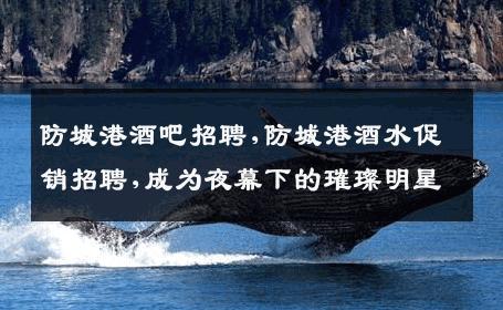防城港酒吧招聘,防城港酒水促销招聘,成为夜幕下的璀璨明星
