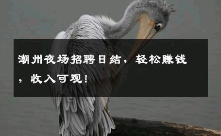 潮州夜场招聘日结，轻松赚钱，收入可观！
