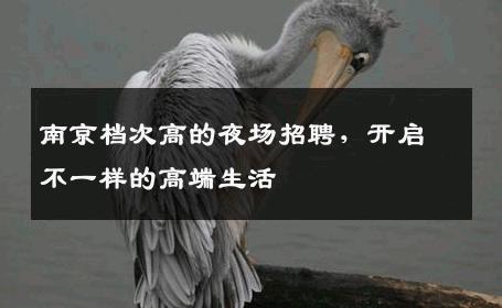 南京档次高的夜场招聘，开启不一样的高端生活