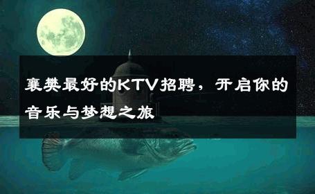 襄樊最好的KTV招聘，开启你的音乐与梦想之旅