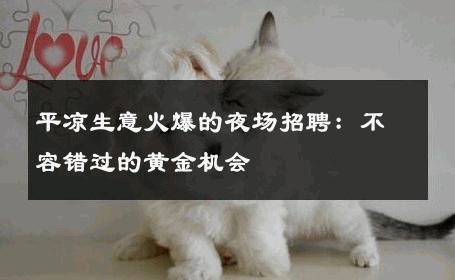 平凉生意火爆的夜场招聘：不容错过的黄金机会