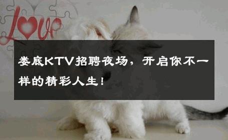 娄底KTV招聘夜场，开启你不一样的精彩人生！