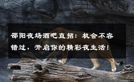邵阳夜场酒吧直招：机会不容错过，开启你的精彩夜生活！