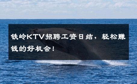 铁岭KTV招聘工资日结，轻松赚钱的好机会！