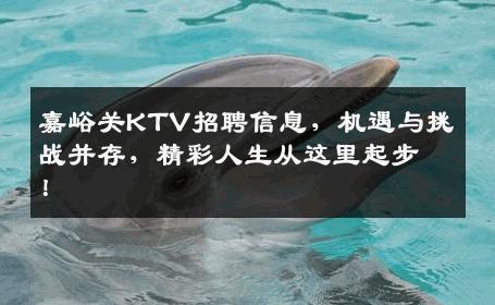 嘉峪关KTV招聘信息，机遇与挑战并存，精彩人生从这里起步！