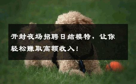 开封夜场招聘日结模特，让你轻松赚取高额收入！