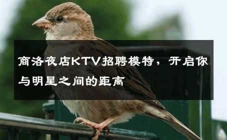 商洛夜店KTV招聘模特，开启你与明星之间的距离