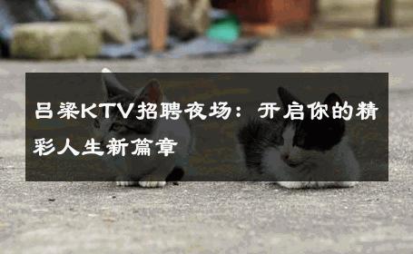 吕梁KTV招聘夜场：开启你的精彩人生新篇章