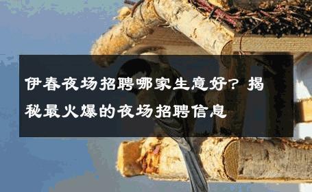 伊春夜场招聘哪家生意好？揭秘最火爆的夜场招聘信息