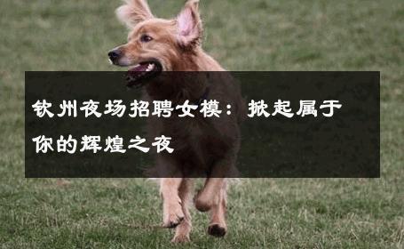 钦州夜场招聘女模：掀起属于你的辉煌之夜