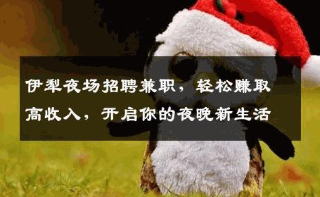 伊犁夜场招聘兼职，轻松赚取高收入，开启你的夜晚新生活