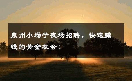 泉州小场子夜场招聘，快速赚钱的黄金机会！