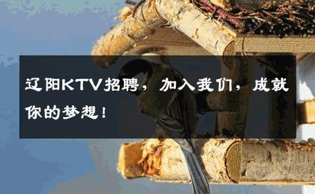 辽阳KTV招聘，加入我们，成就你的梦想！