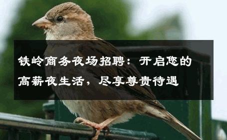 铁岭商务夜场招聘：开启您的高薪夜生活，尽享尊贵待遇