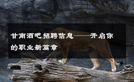 甘南酒吧招聘信息——开启你的职业新篇章