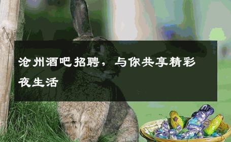 沧州酒吧招聘，与你共享精彩夜生活