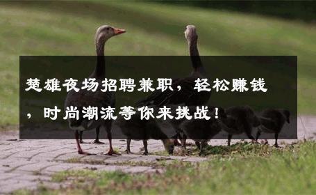 楚雄夜场招聘兼职，轻松赚钱，时尚潮流等你来挑战！